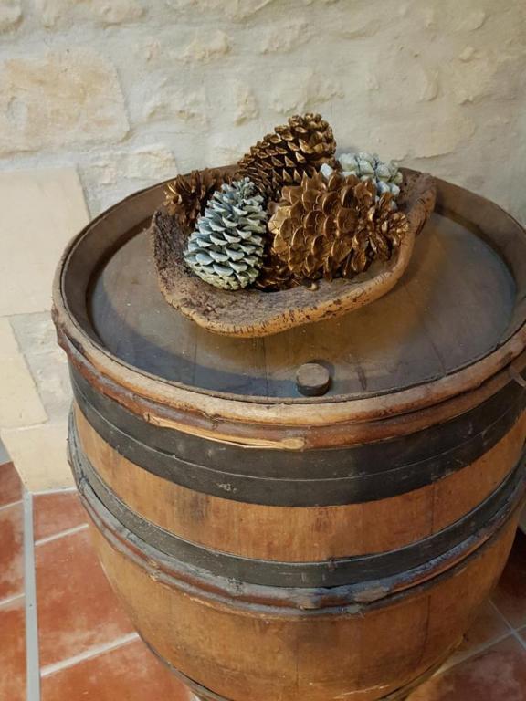 Le Domaine De Bellevue Bed and Breakfast Tanzac Εξωτερικό φωτογραφία