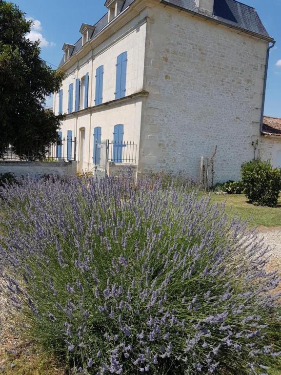 Le Domaine De Bellevue Bed and Breakfast Tanzac Εξωτερικό φωτογραφία